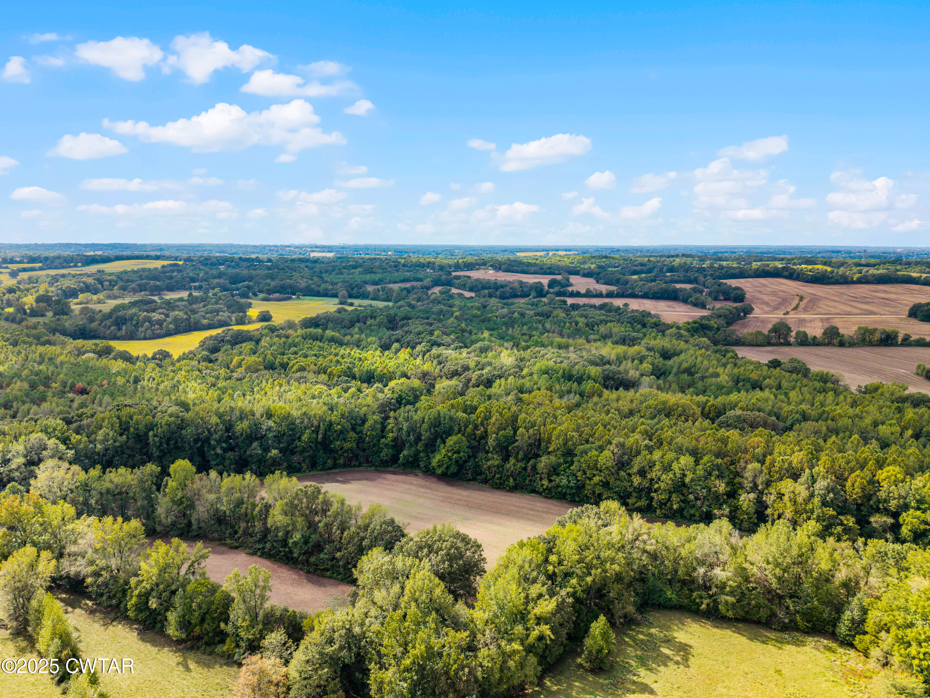 0 Harpers Chapel Road Trenton, TN 38382 - Photo 8 of 11 a view of a lake with a city