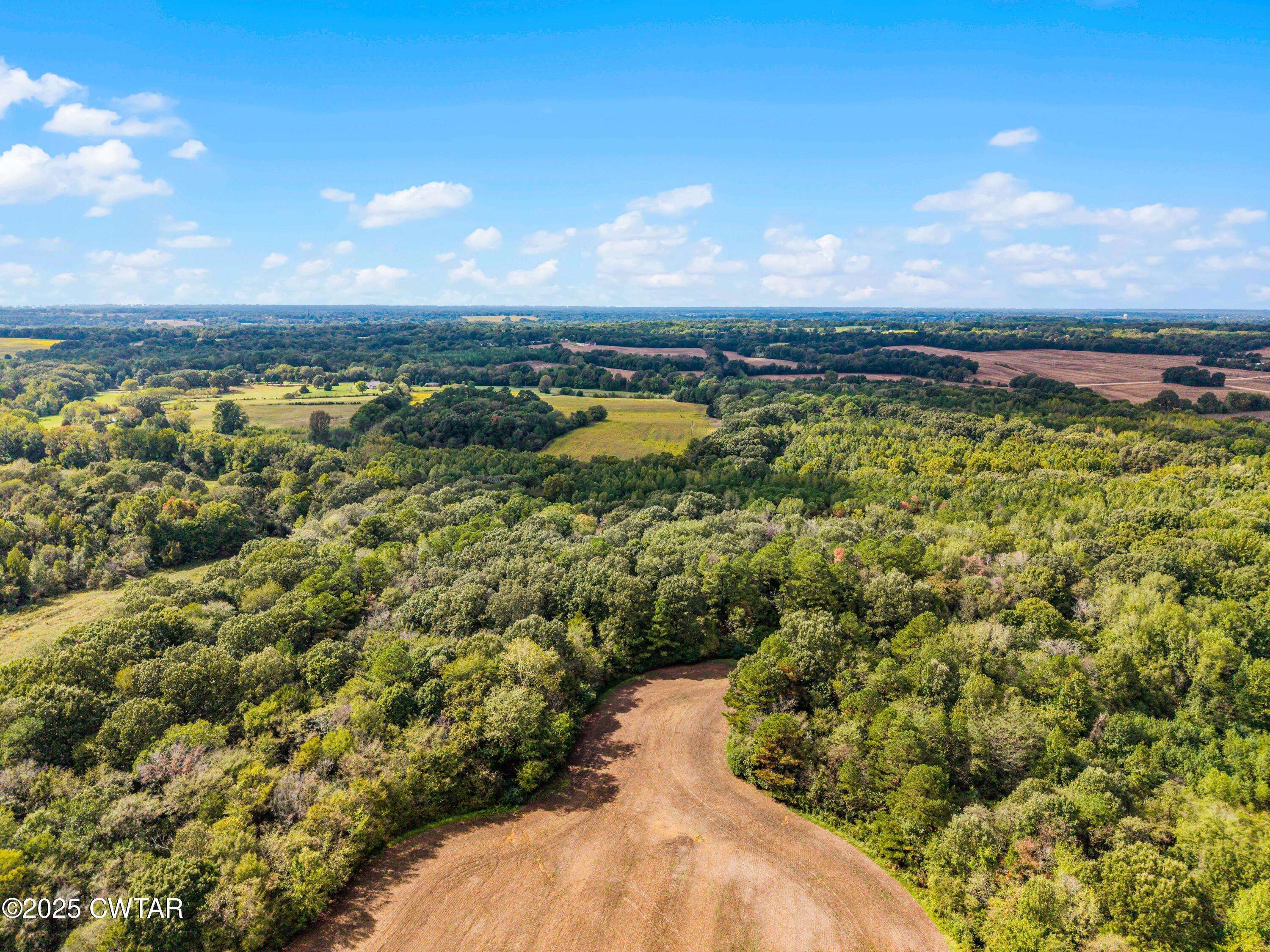 0 Harpers Chapel Road Trenton, TN 38382 - Photo 9 of 11 a view of a city
