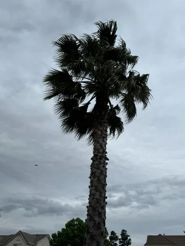 a view of a brick house with a large door