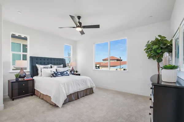a bedroom with a bed a couch and potted plant