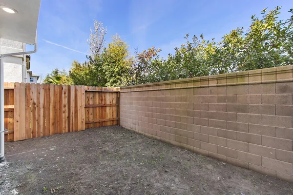 a view of a dry yard with a tree