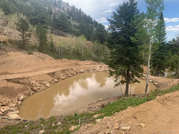 a view of a lake from a yard