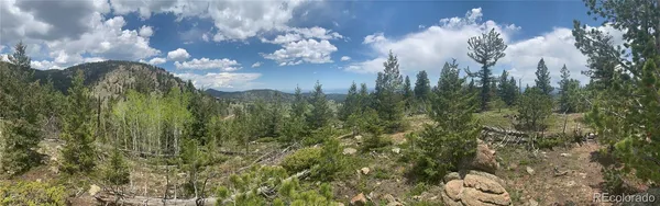 a view of a bunch of trees