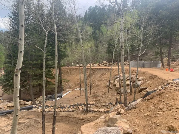 a view of a backyard of the house