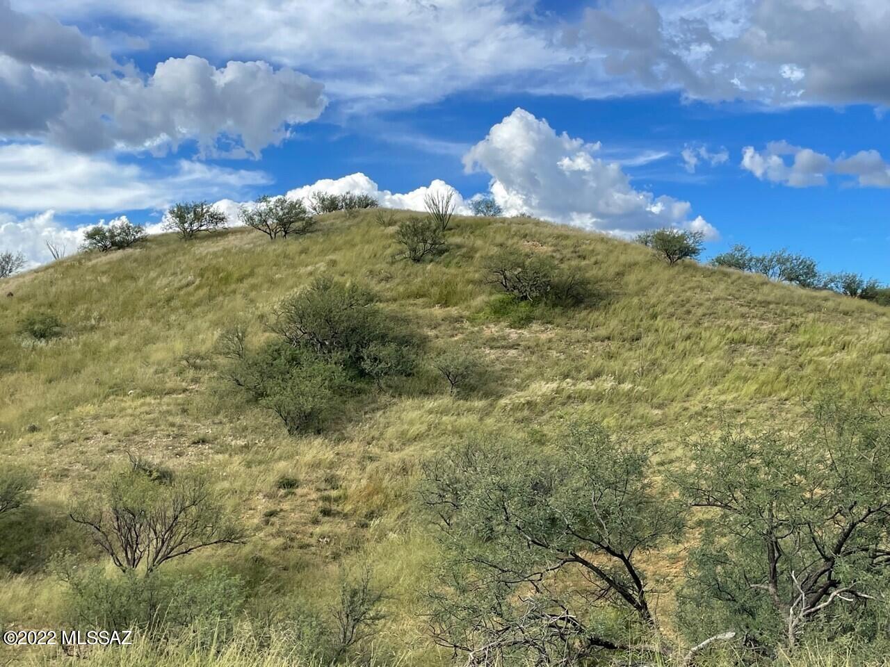 Tbd Tbd Nighthawk Court, Unit 186/5 Rio Rico, AZ 85648 - Photo 19 of 23