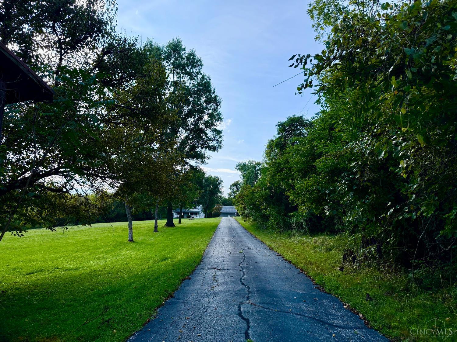 3535 Lewis Road Amelia, OH 45102 - Photo 4 of 46 This is the long, tree lined drive that takes you to the house. It's your own private sanctuary to come home to.