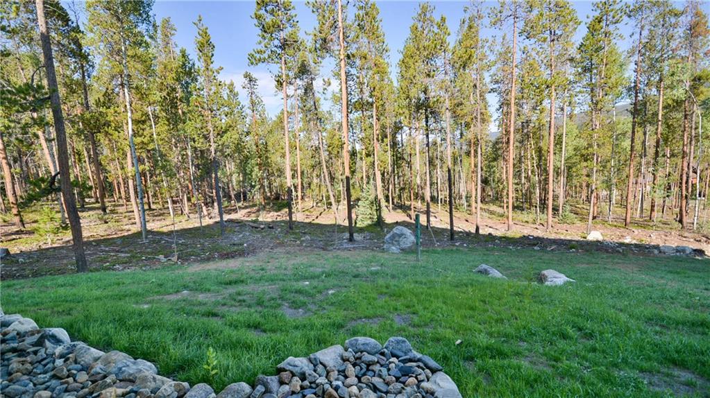 876 Independence Road, Unit 1B Keystone, CO 80435 - Photo 21 of 25 a view of backyard with green space