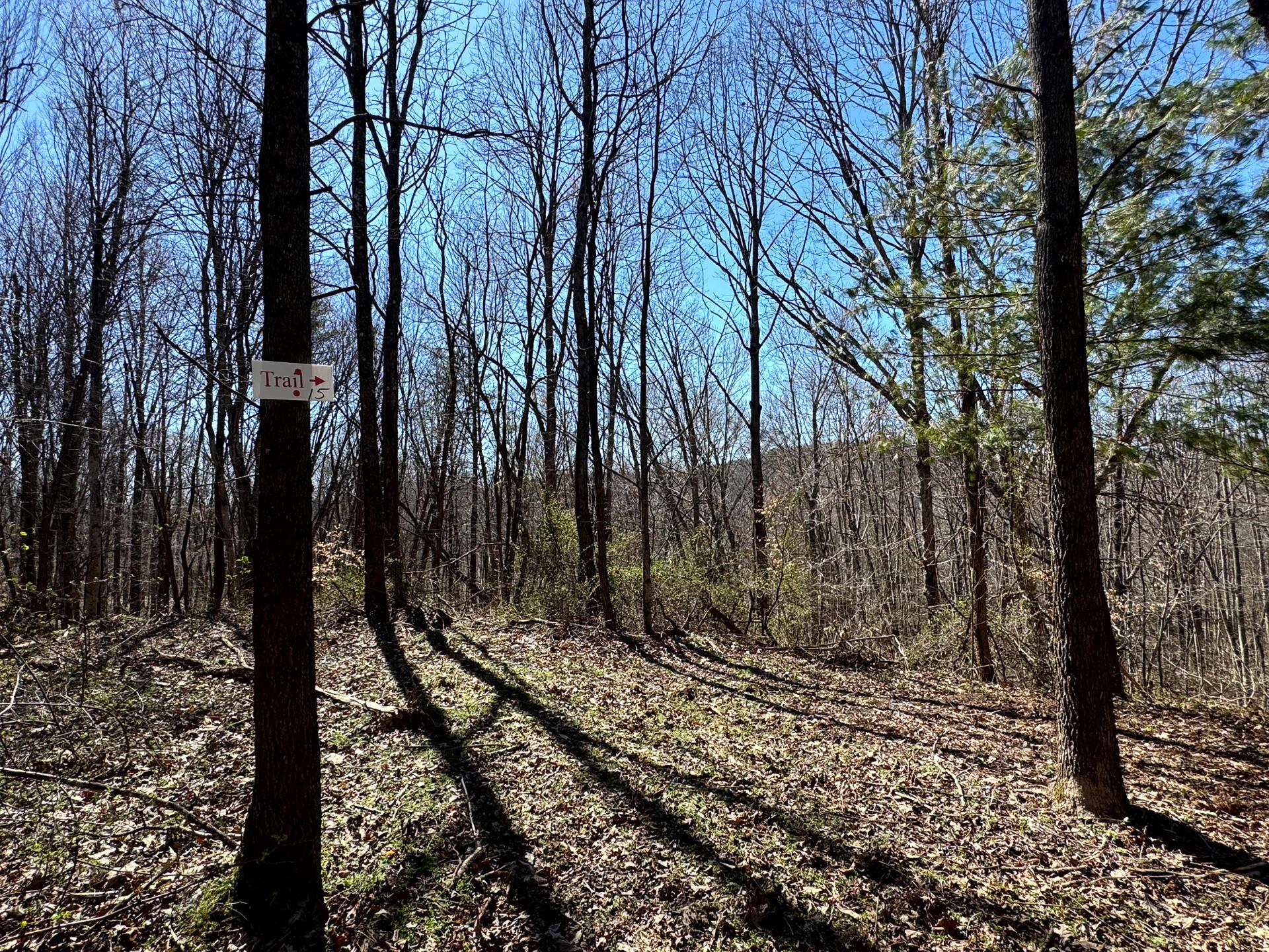 999 Poplar Ridge Road, Unit PONDS POPLAR RIDGE TRACT 15) Gallipolis, OH 45631 - Photo 11 of 34 CT-11