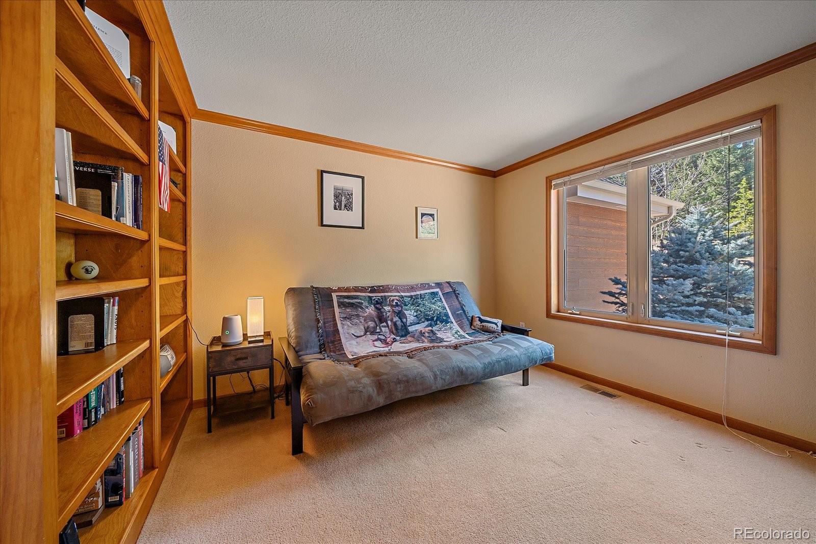 9948 South Turkey Creek Road Conifer, CO 80433 - Photo 21 of 50 a living room with furniture and a bookshelf