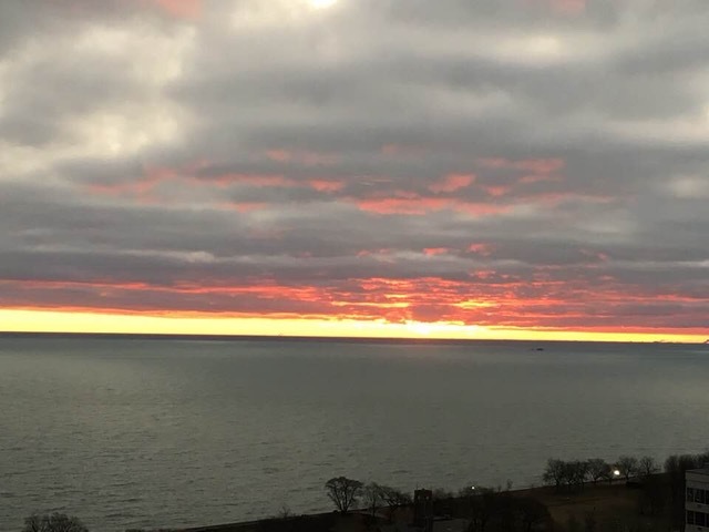 655 West Irving Park Road, Unit 3101 Chicago, IL 60613 - Photo 16 of 16