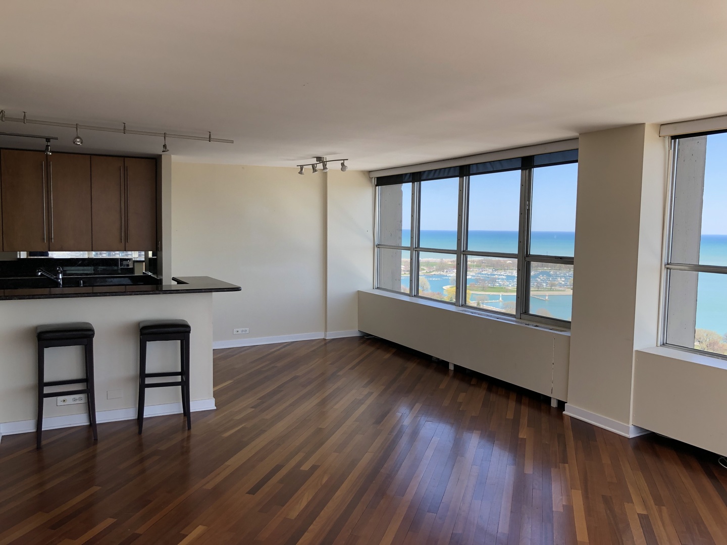 655 West Irving Park Road, Unit 3101 Chicago, IL 60613 - Photo 3 of 16