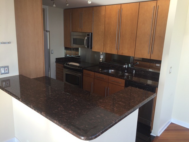 655 West Irving Park Road, Unit 3101 Chicago, IL 60613 - Photo 9 of 16