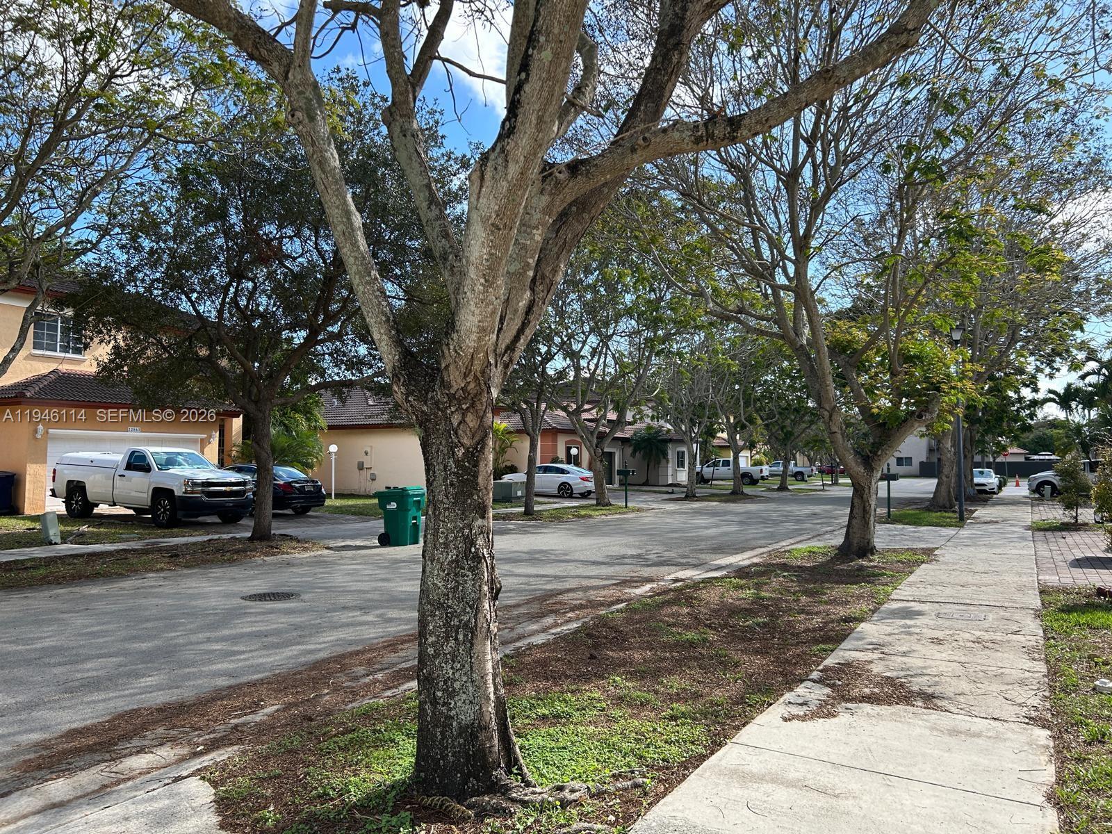 22844 Southwest 114th Avenue Miami, FL 33170 - Photo 11 of 40 a street view with large trees