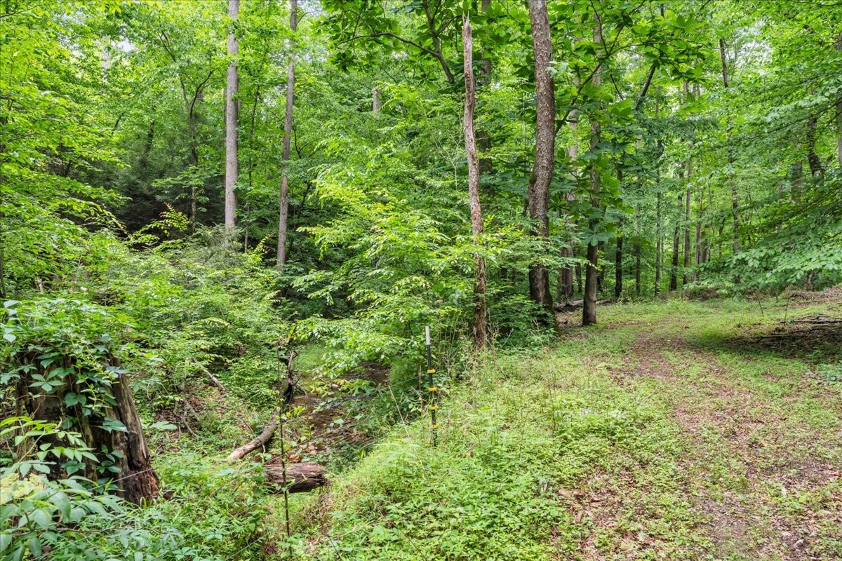 488 Prater Road Smithville, TN 37166 - Photo 41 of 56
