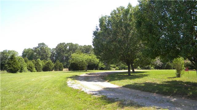 4753 Ollie Chunn Road Spring Hill, TN 37174 - Photo 16 of 20