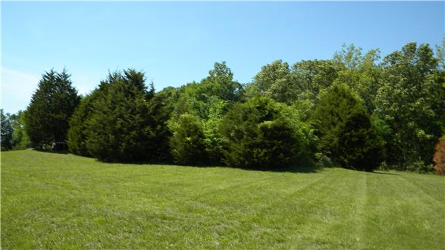 4753 Ollie Chunn Road Spring Hill, TN 37174 - Photo 17 of 20