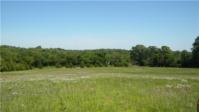 4753 Ollie Chunn Road Spring Hill, TN 37174 - Photo 18 of 20