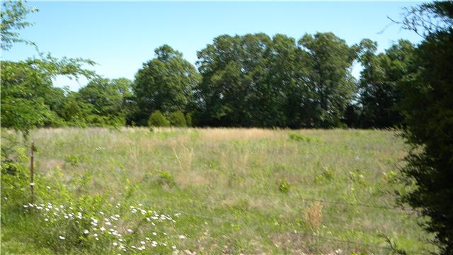 4753 Ollie Chunn Road Spring Hill, TN 37174 - Photo 20 of 20
