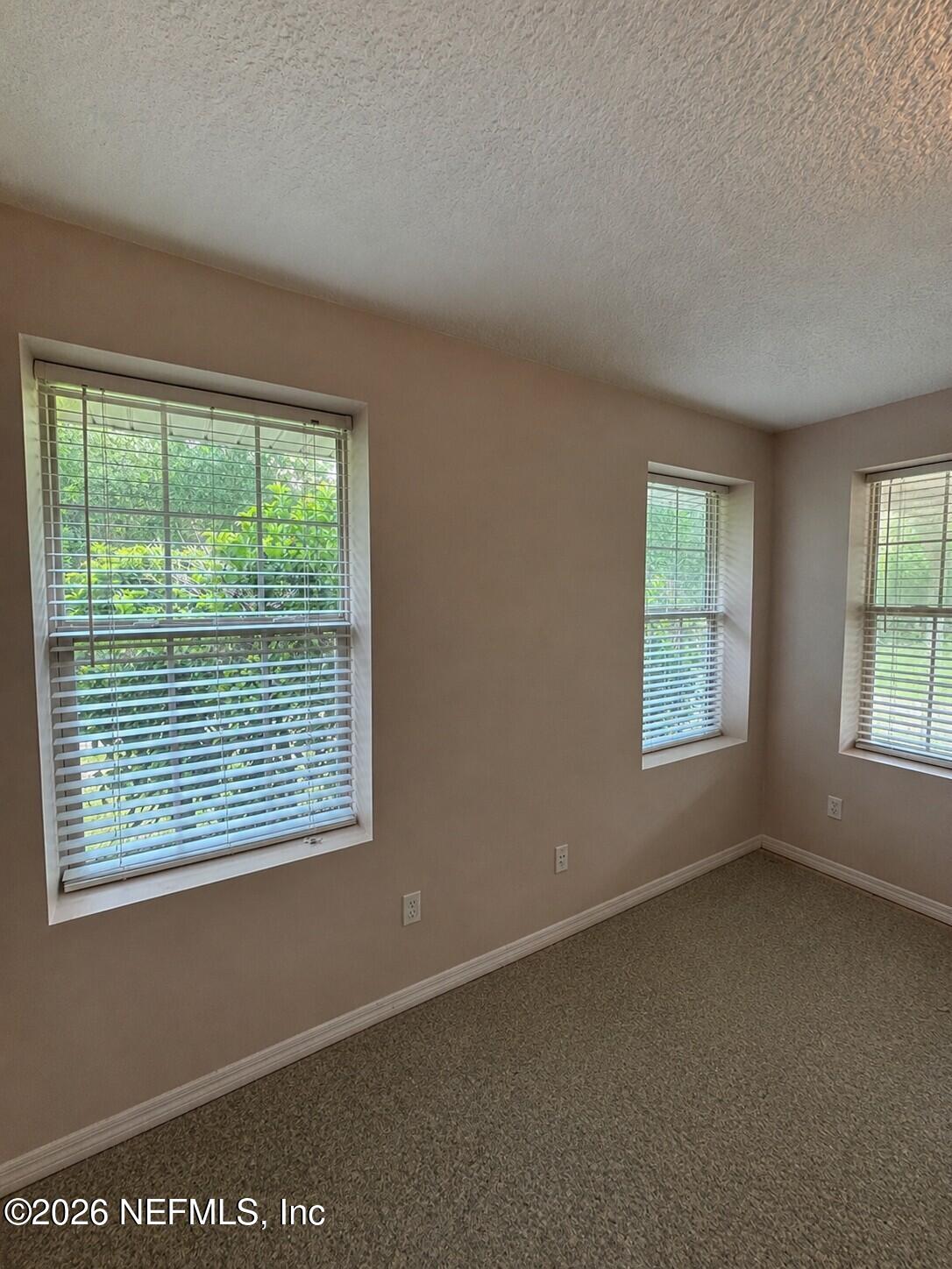 25 Currant Avenue Middleburg, FL 32068 - Photo 26 of 33 3rd bedroom
