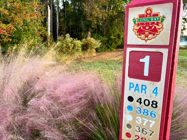 $379,900 | 878 Foxtail Drive, Unit C37, Longs, SC 29568