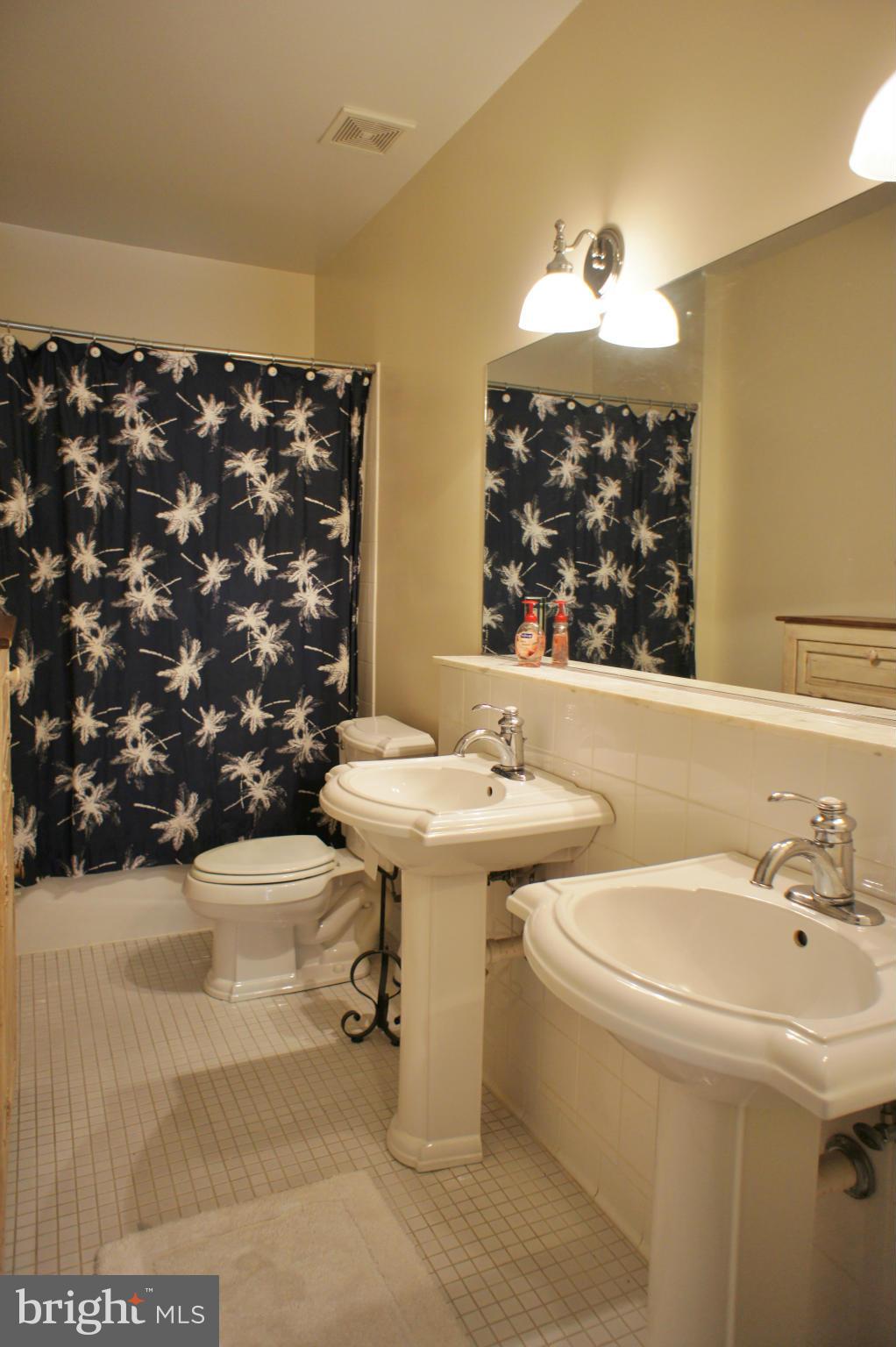 13292 Olivet Road Lusby, MD 20657 - Photo 26 of 30 LL Full Bath with double pedestal sinks!