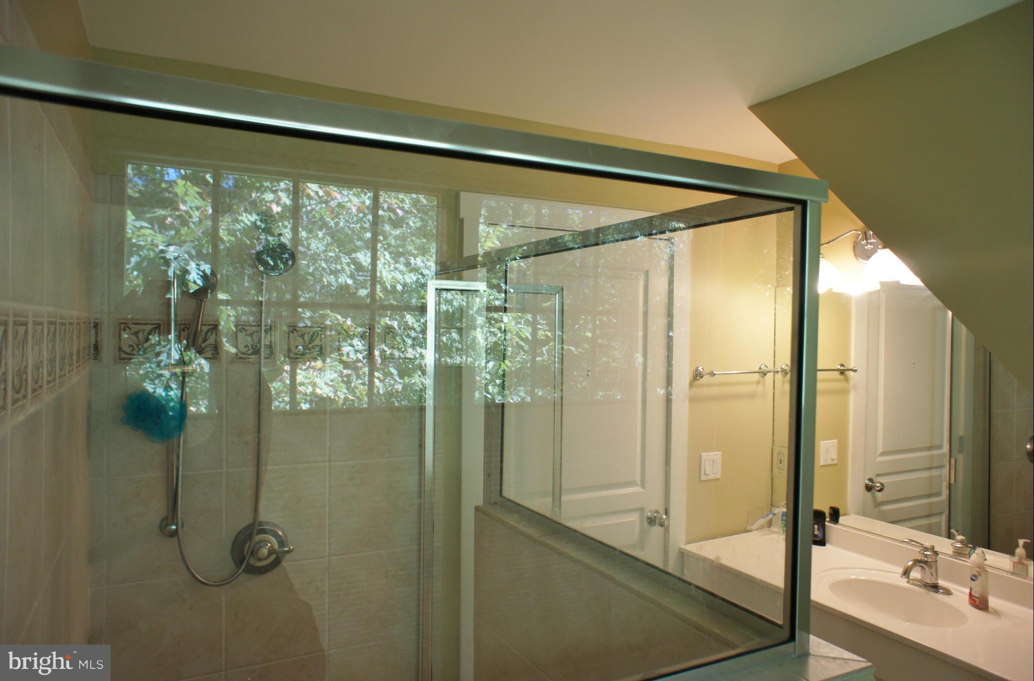13292 Olivet Road Lusby, MD 20657 - Photo 29 of 30 In-Law Apt walk in shower, full bath!