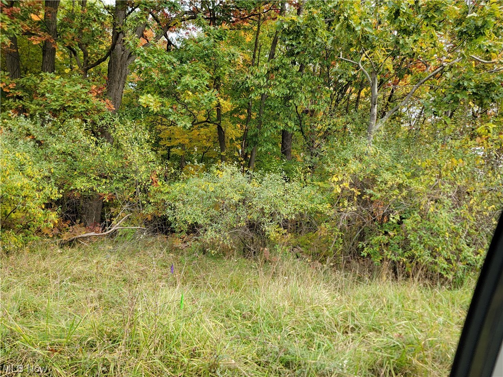 East Mill Road Broadview Heights, OH 44147 - Photo 13 of 17 View of nature