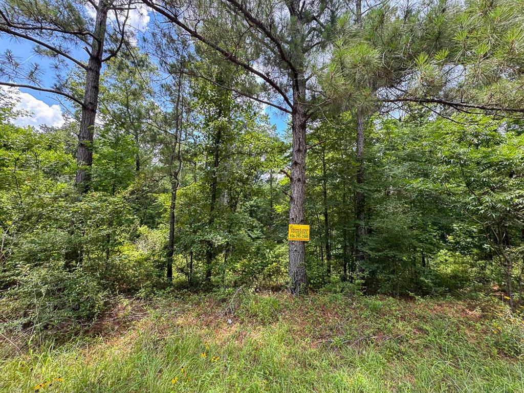 2 Posey Webb Camp Road Jonesville, LA 71343 - Photo 4 of 13