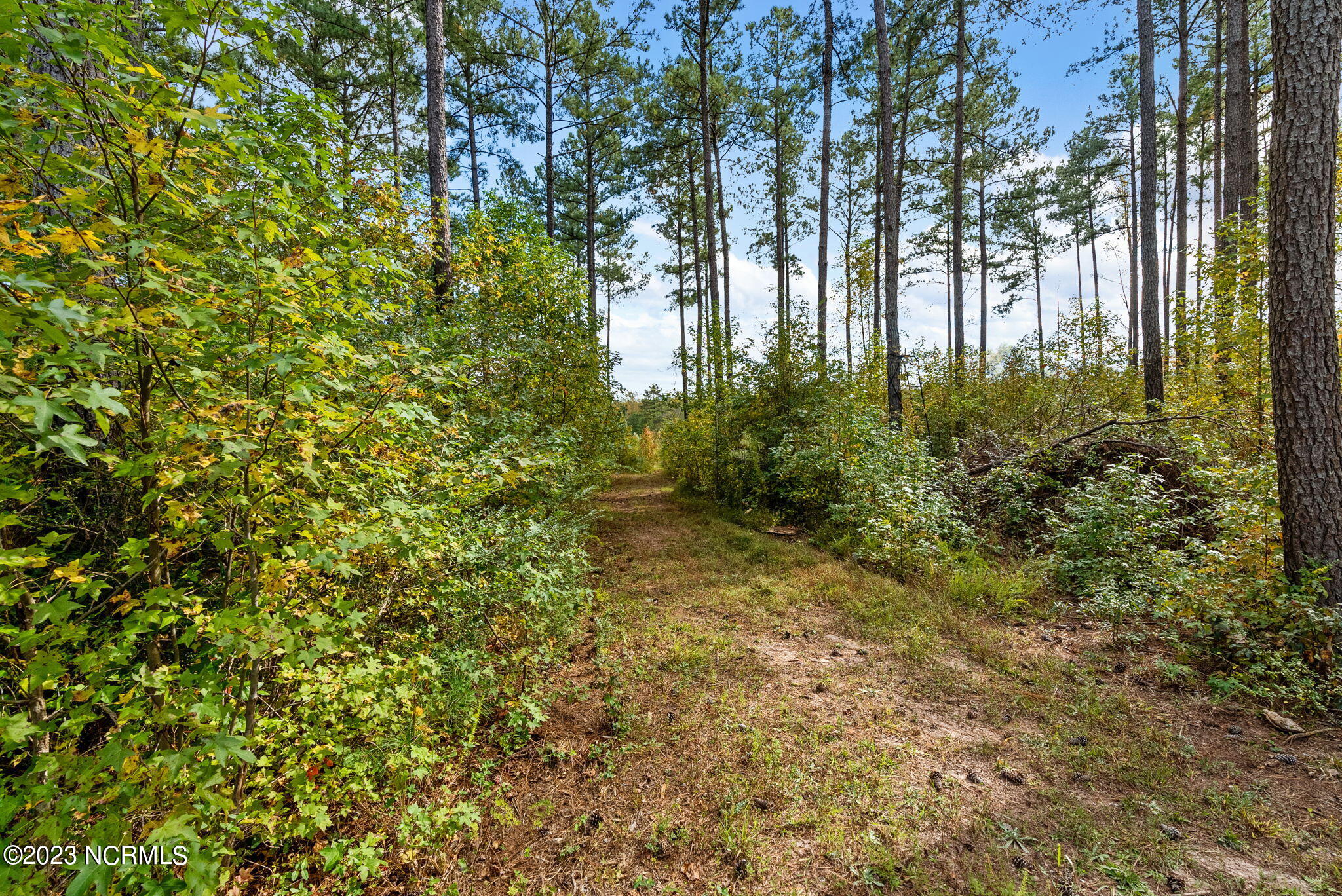 222 Shearin Road Littleton, NC 27850 - Photo 32 of 45 23-web-or-mls-DSC05573