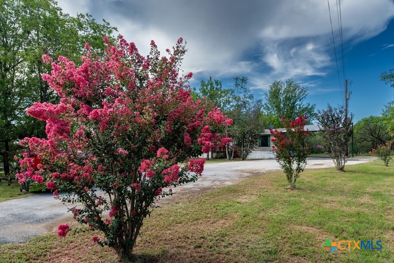 2113 Zion Hill Road Seguin, TX 78155 - Photo 6 of 27