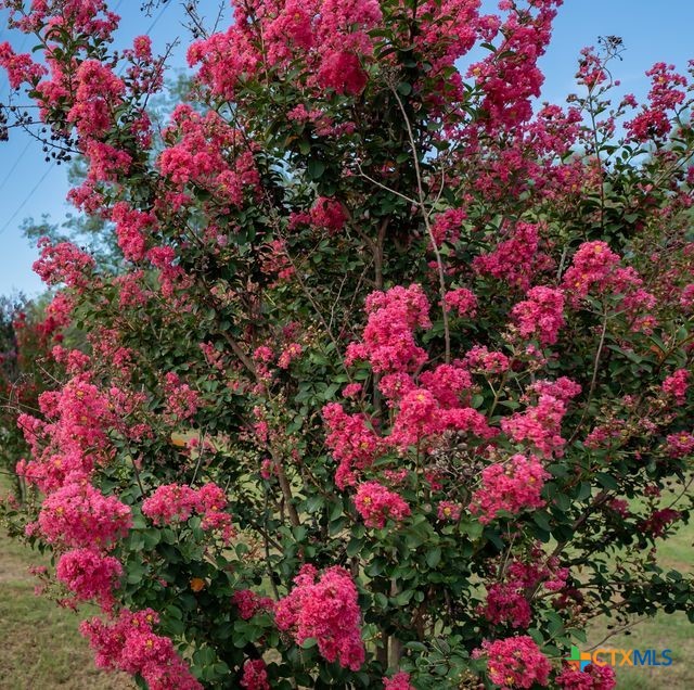 2113 Zion Hill Road Seguin, TX 78155 - Photo 7 of 27