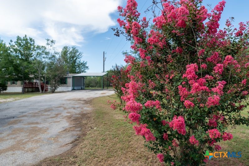 2113 Zion Hill Road Seguin, TX 78155 - Photo 8 of 27