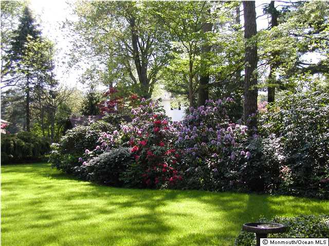 2632 River Road Manasquan, NJ 08736 - Photo 7 of 17 a view of a green field with lots of bushes