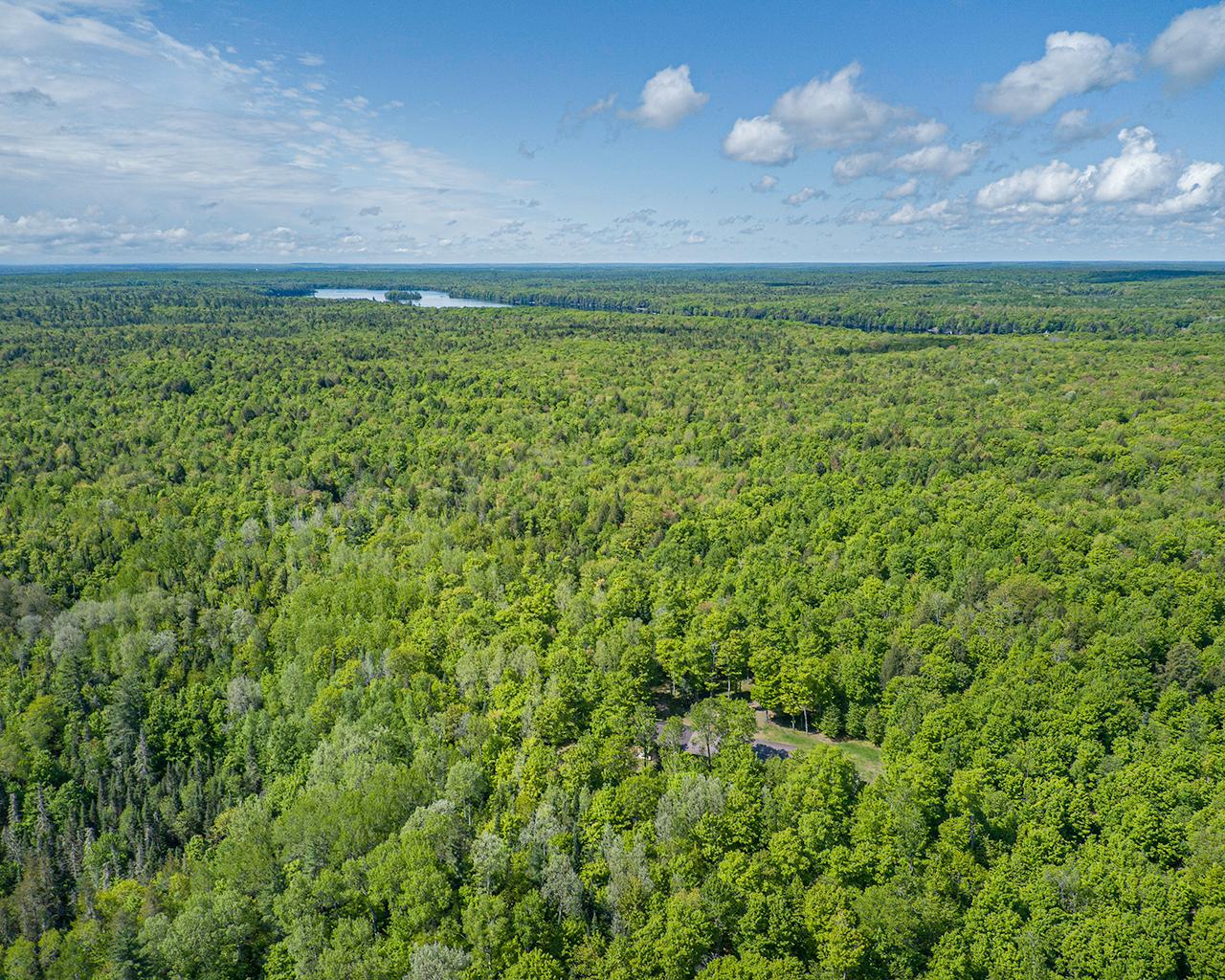 23510 Duck Lake Road Watersmeet, MI 49969 - Photo 16 of 57 Gallery Image 16