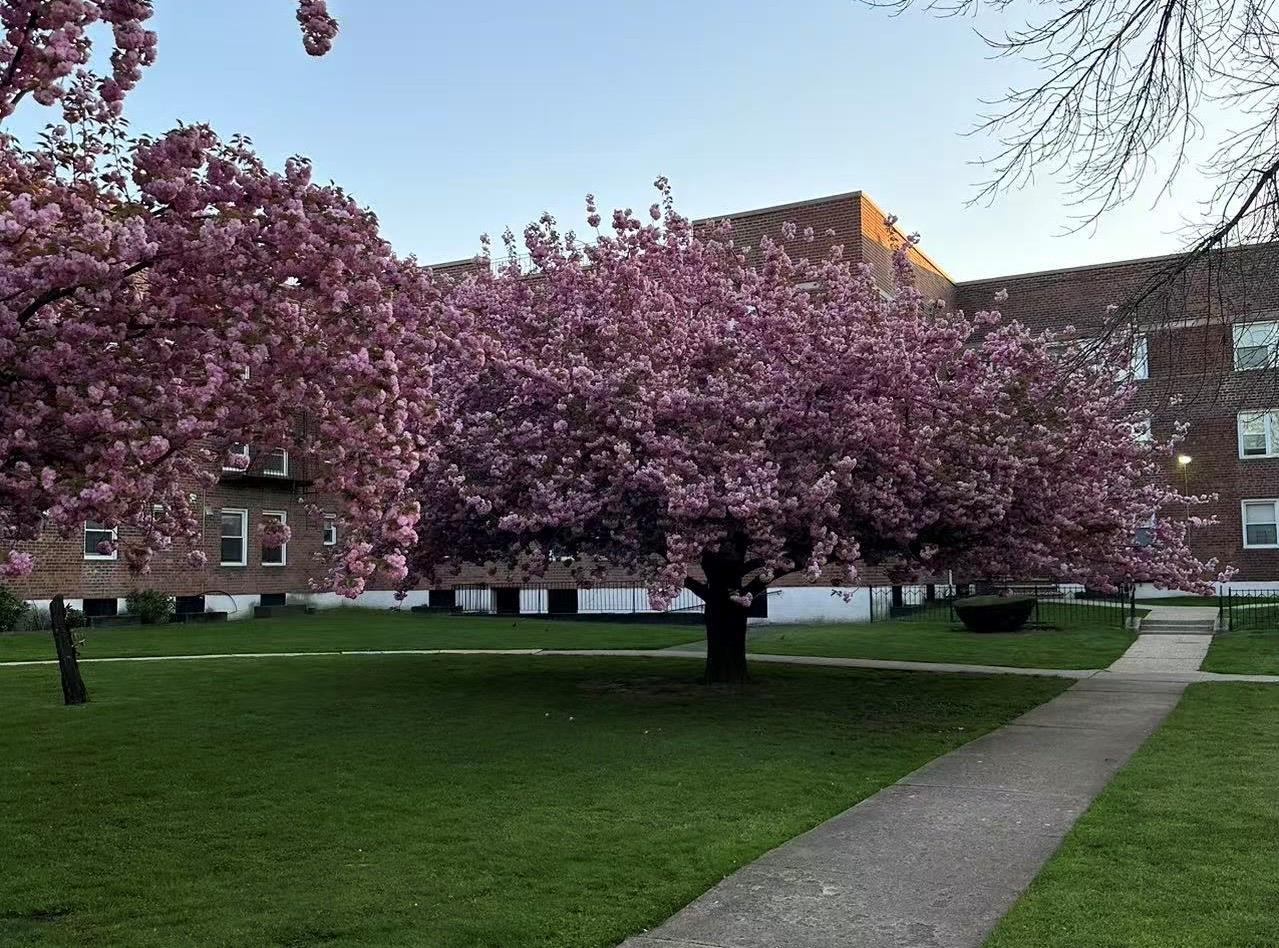 138-32 68th Drive, Unit 2B Queens, NY 11367 - Photo 2 of 10 a garden view with a fountain