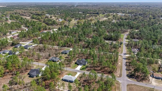 an aerial view of a house with swimming pool and large trees
