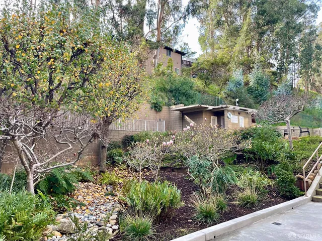 a view of a garden with plants