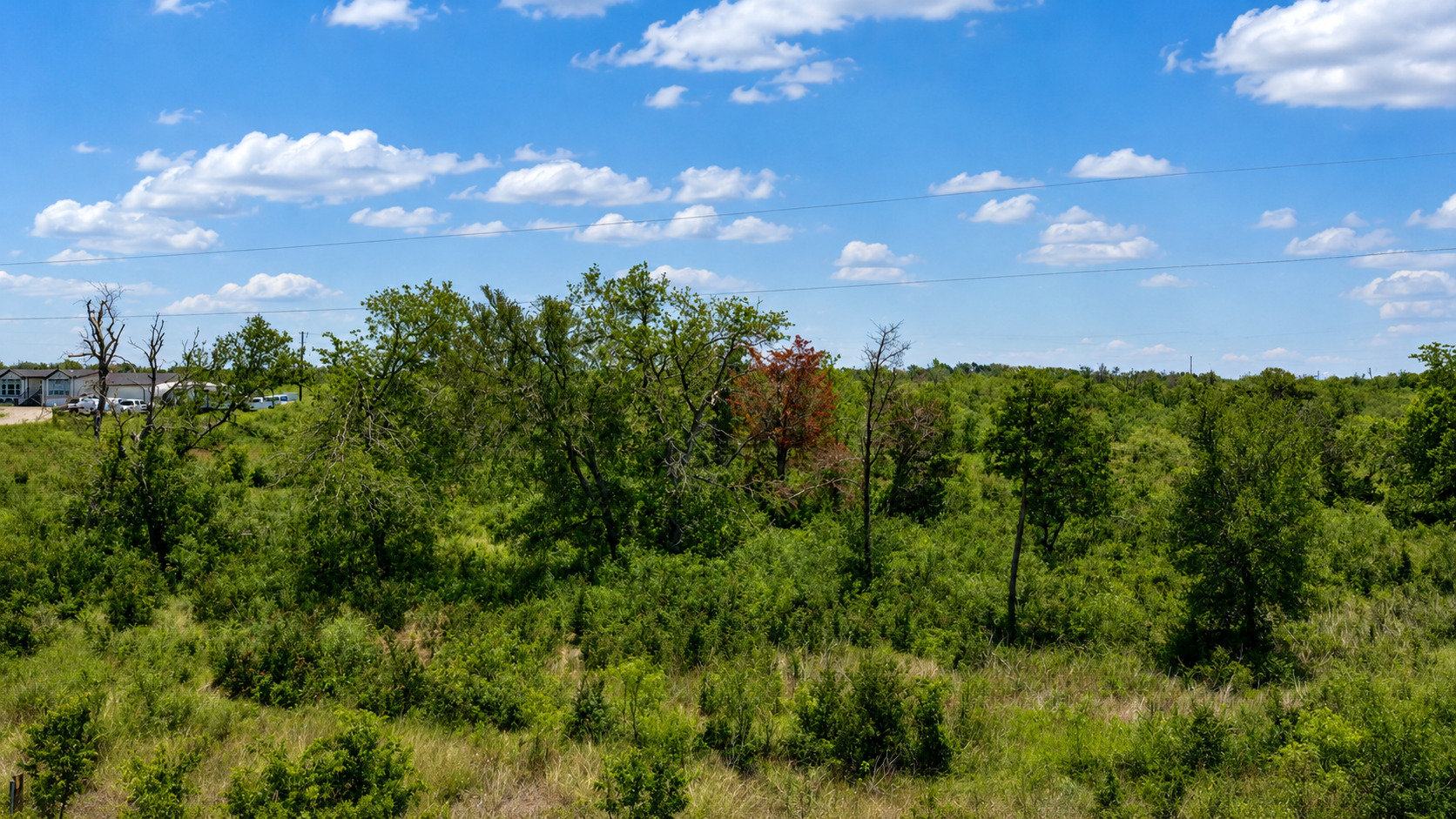 2500 County Road 466 Elgin, TX 78621 - Photo 6 of 15 a view of a city and lush green forest