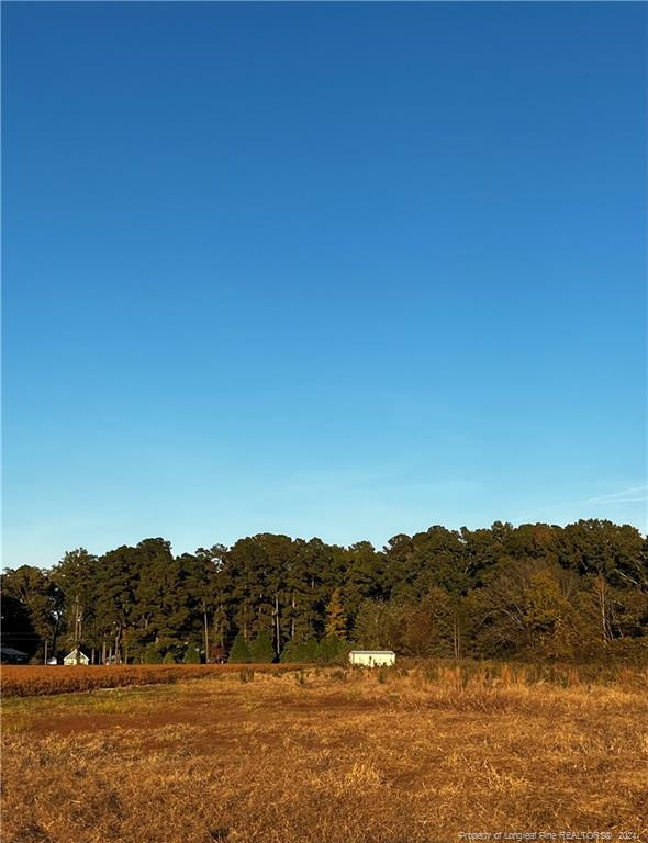 0 Callie Road Wade, NC 28395 - Photo 2 of 5 Photo 2