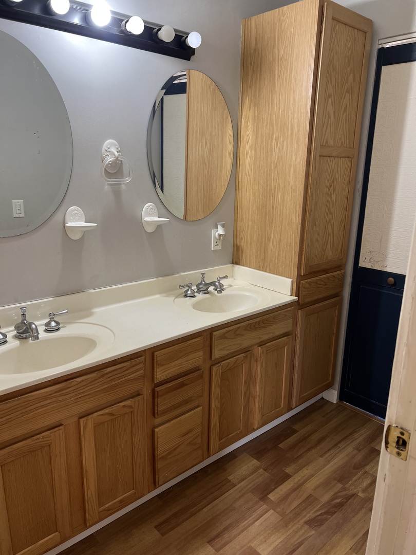 304 South 3rd Street Kirkland, IL 60146 - Photo 10 of 16 a spacious bathroom with a double vanity sink and a mirror