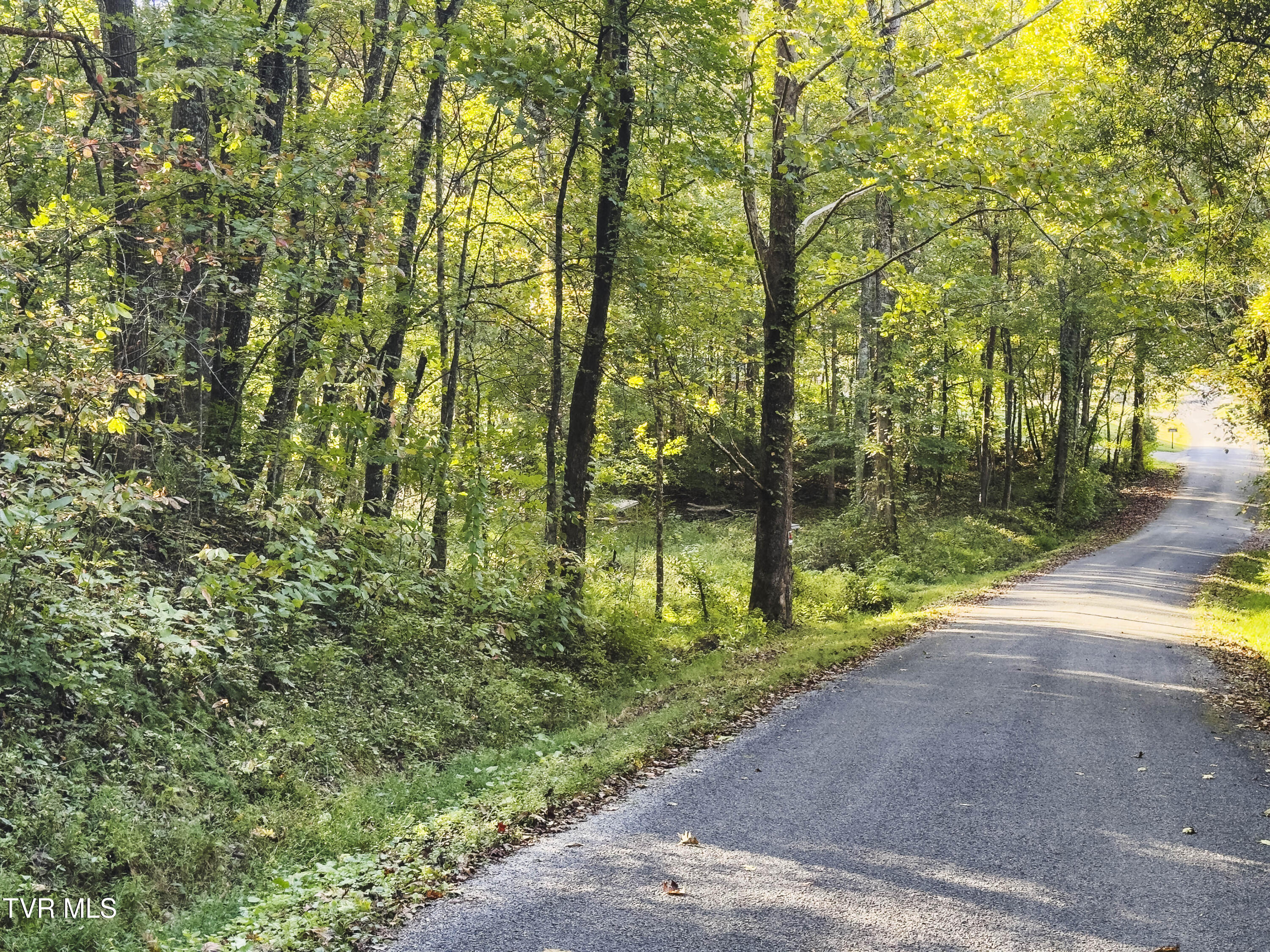 Lot 1 Old Post Road, Unit 1 Evensville, TN 37332 - Photo 7 of 24 07