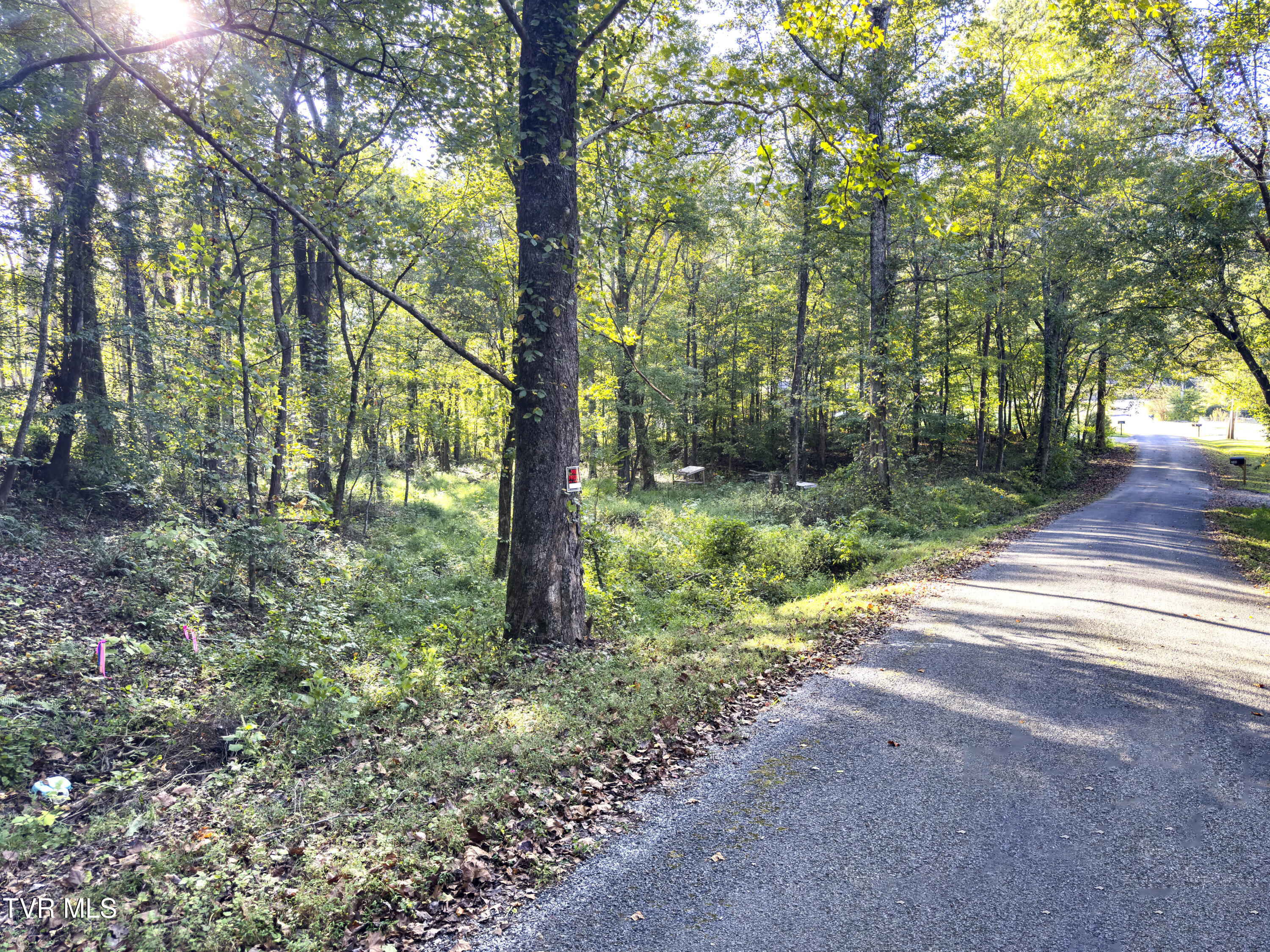 Lot 1 Old Post Road, Unit 1 Evensville, TN 37332 - Photo 8 of 24 08