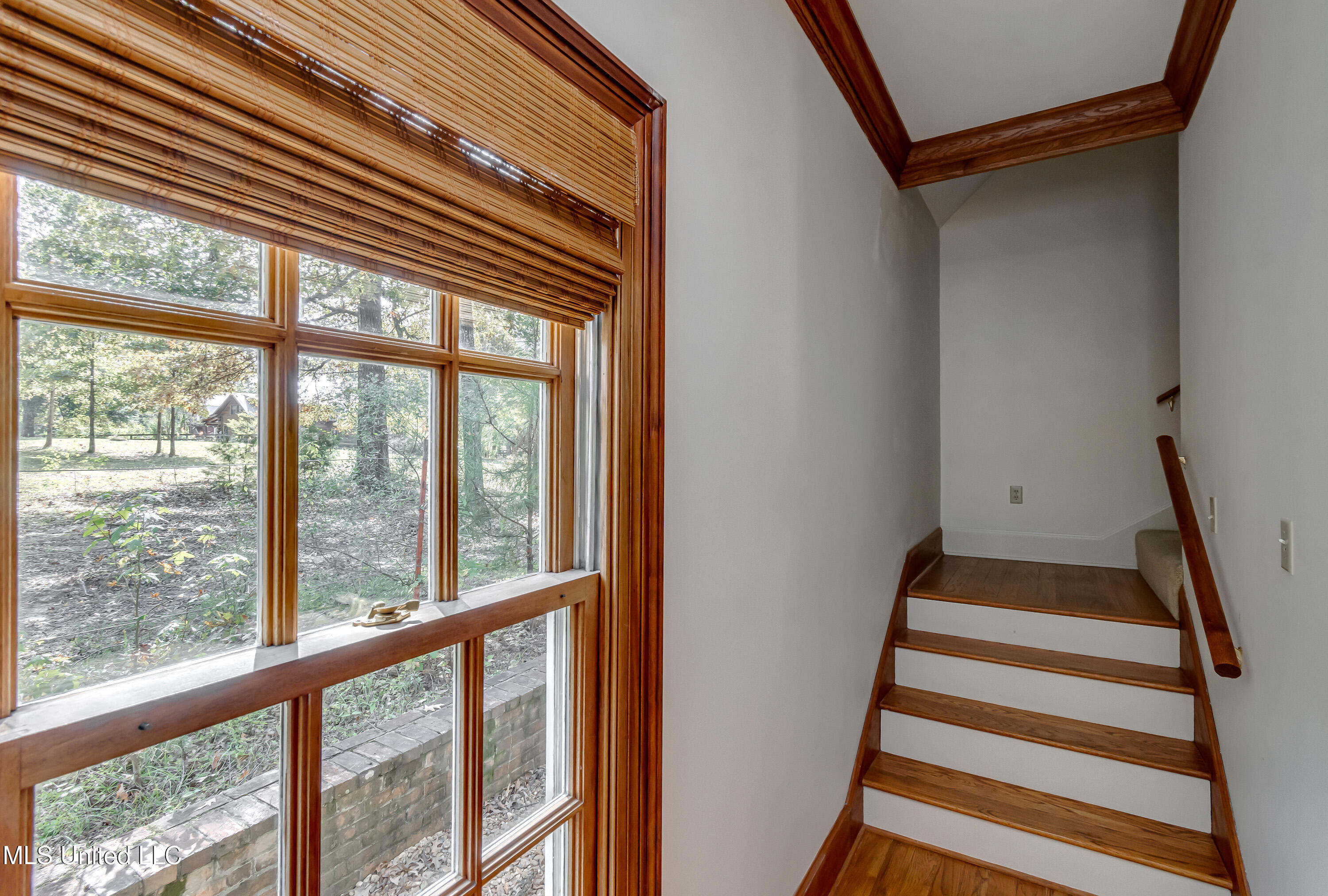 188 Webb Lane Flowood, MS 39232 - Photo 26 of 99 188 Webb Ln-38