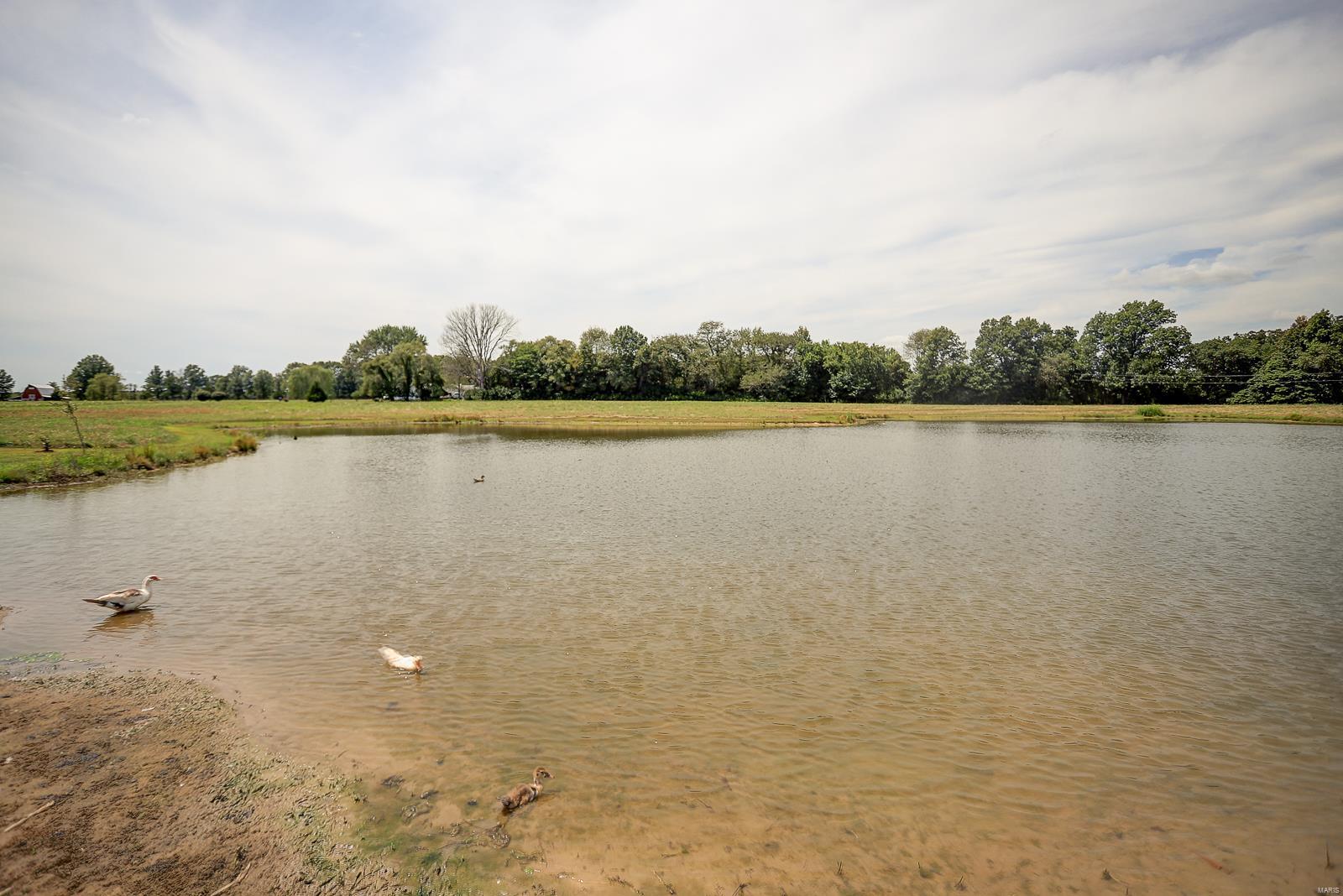 4172 Caladium Road Pinckneyville, IL 62274 - Photo 9 of 37 Gallery Image 9