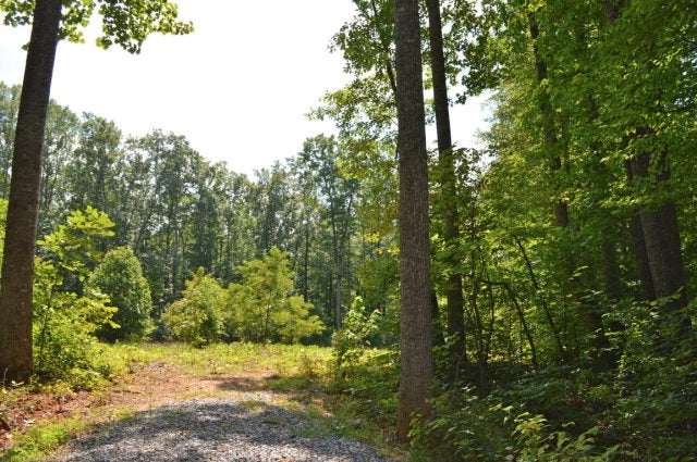 Tbd Haycock Road Southeast Floyd, VA 24091 - Photo 1 of 1 Gallery Image 1