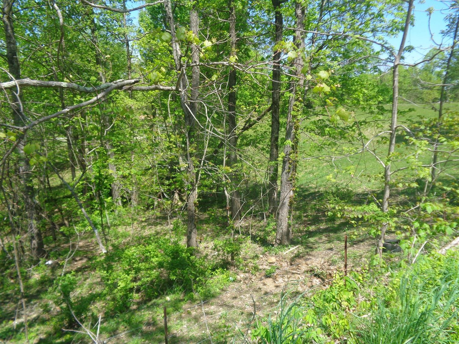 4300 Slate Lick Road London, KY 40741 - Photo 15 of 18 Listing Photo
