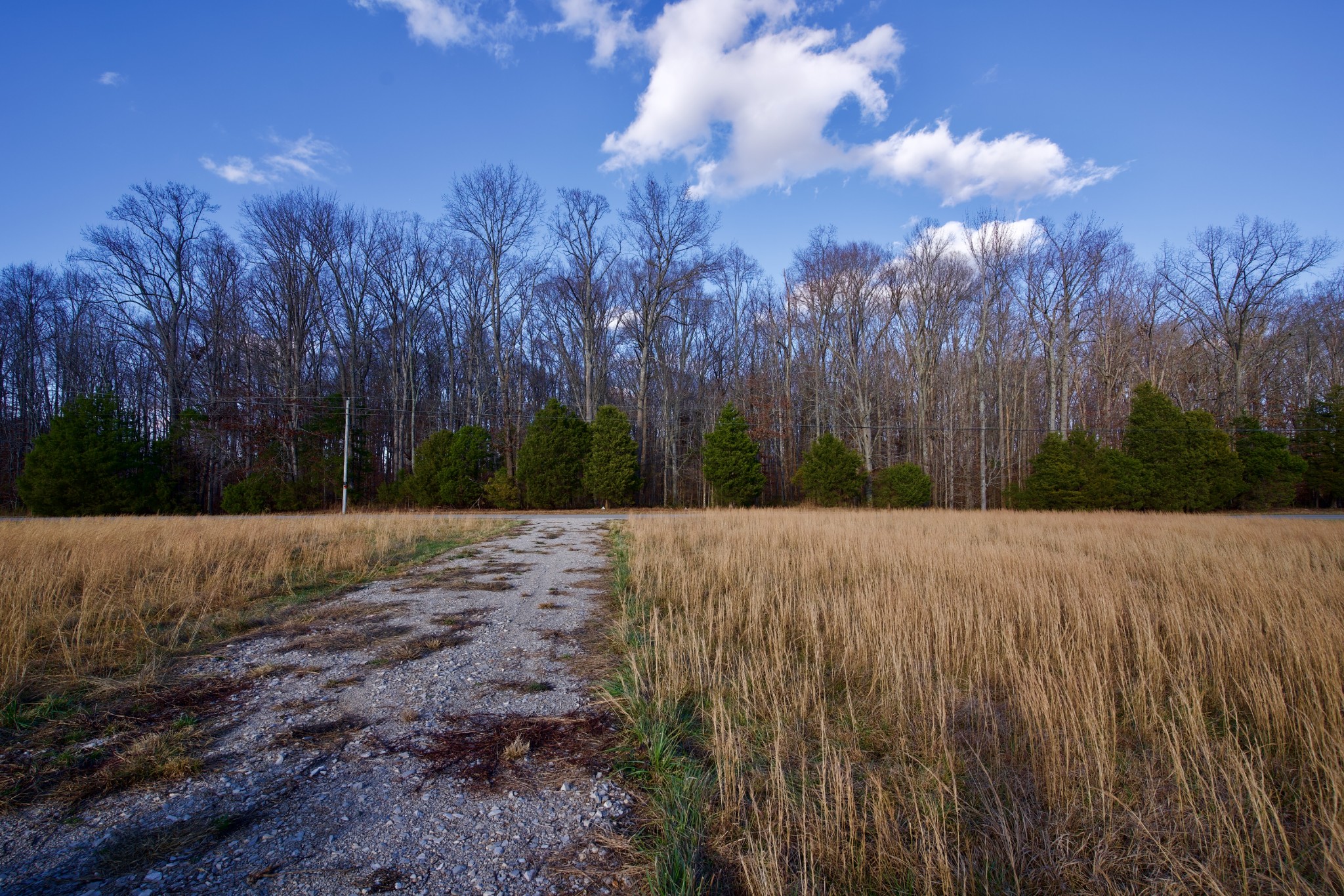 1 Wildcat Road Sparta, TN 38583 - Photo 15 of 15 Gallery Image 15