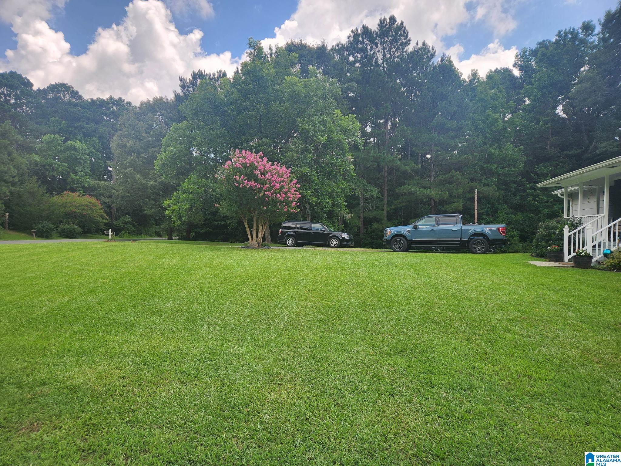 4426 Hamilton Mountain Road Blountsville, AL 35031 - Photo 24 of 25