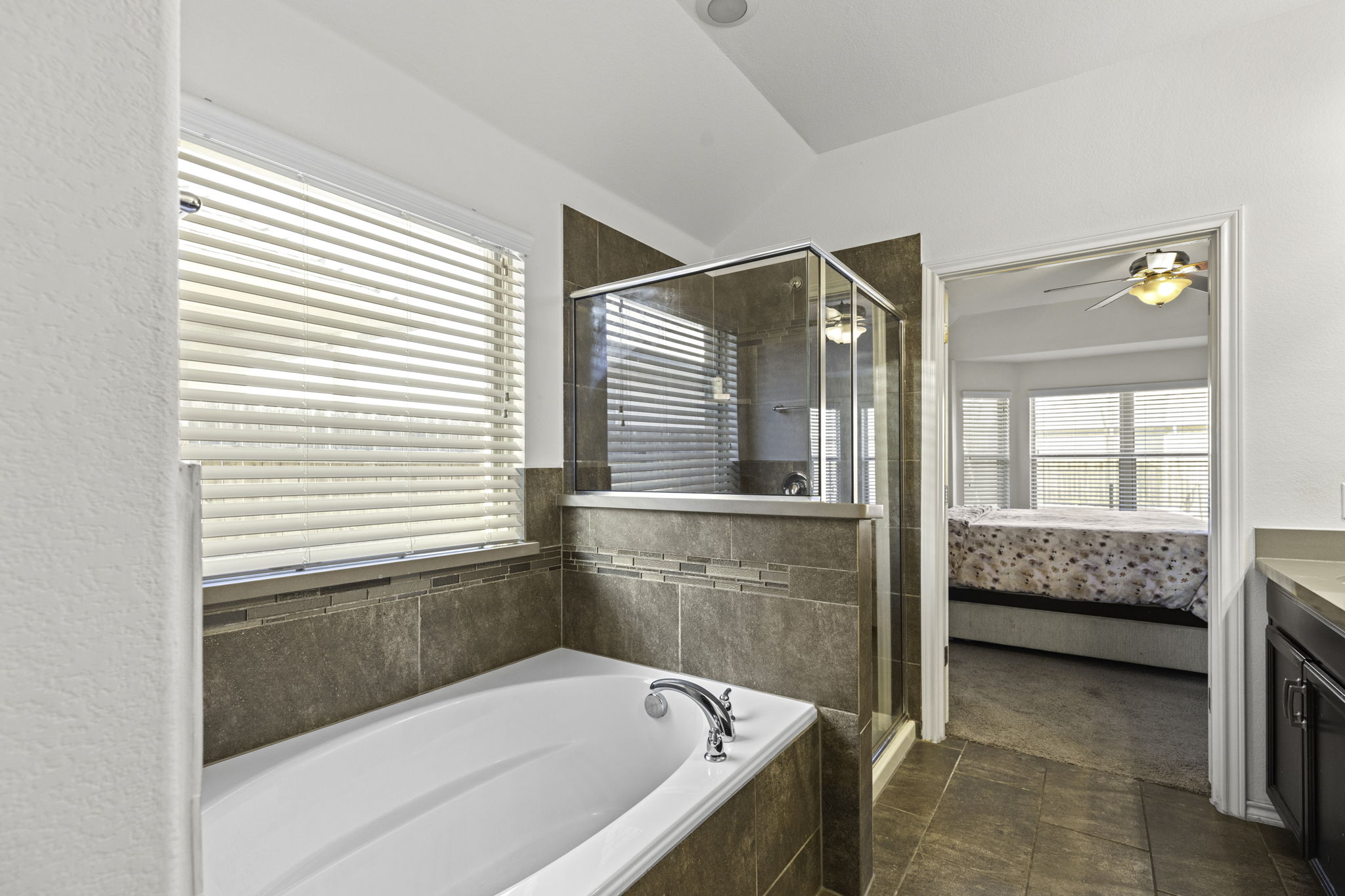 3116 Bragg Place Pflugerville, TX 78660 - Photo 18 of 29 a bathroom with a tub a potted plant and a window
