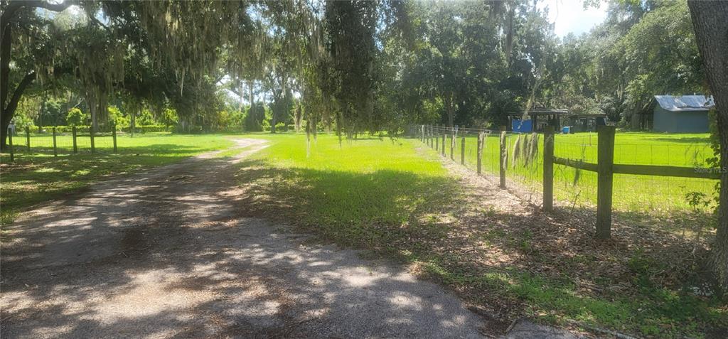 3534 Milton West Road Dover, FL 33527 - Photo 3 of 26 a view of a park with large trees